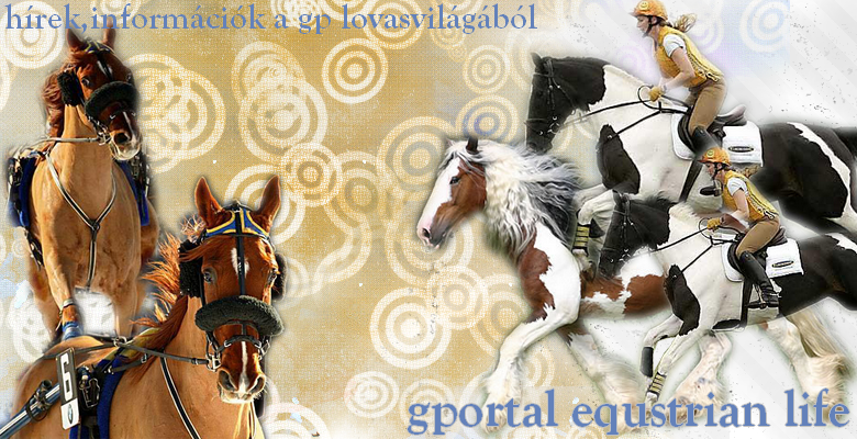 gportal equstrian life • hrek, informcik a gp lovasvilgbl